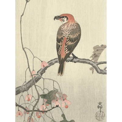Artery8 Unframed Wall Art Ohara Koson Crossbill On Tree Branch Japanese12X16 Inch from B&Q