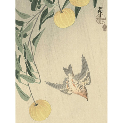 Artery8 Unframed Wall Art Ohara Koson Cuckoo In The Rain Japanese Painting12X16 Inch from B&Q