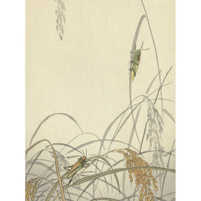 Artery8 Unframed Wall Art Ohara Koson Grasshoppers On Rice Plants Painting12X16 Inch from B&Q