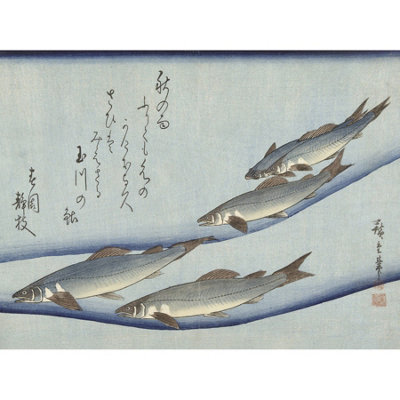B&Q -  Unframed Wall Art Hiroshige Trout Animals Fish Japanese12X16 Inch