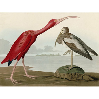 Artery8 Unframed Wall Art Audubon Birds Scarlet Ibis Painting12X16 Inch from B&Q