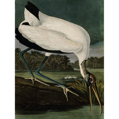 Artery8 Unframed Wall Art Audubon Birds Wood Ibis Painting12X16 Inch from B&Q