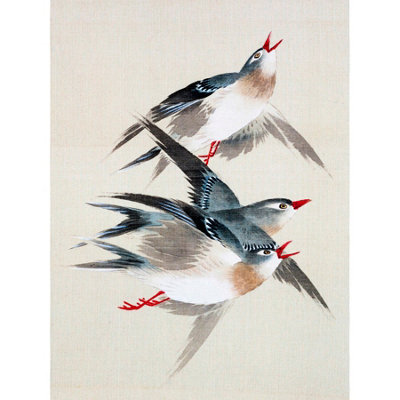 Wee Blue Coo Unframed Wall Art Okamoto Birds Japanese12X16 Inch from B&Q
