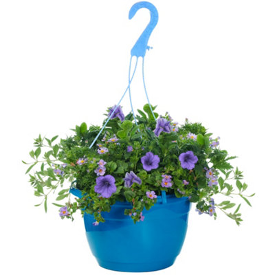 Gardeners Dream Blue Shades Hanging Basket: Stunning Blue BloomsPerfect For Hanging Gardens (25Cm) from B&Q