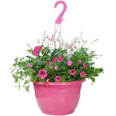 Gardeners Dream Pink Shades Hanging Basket: Romantic Pink BloomsOutdoor Charm (25Cm) from B&Q