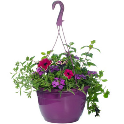 Gardeners Dream Purple Shades Hanging Basket: Elegant Purple BloomsOutdoor Aesthetic (25Cm) from B&Q