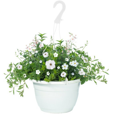 Gardeners Dream White Shades Hanging Basket: Serene White BloomsOutdoor Elegance (25Cm) from B&Q