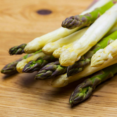 B&Q -  Asparagus Vittorio Bare Root CrownsGrow Your Own BarerootFresh Vegetable PlantsIdeal For Uk Gardens (25 Pack)
