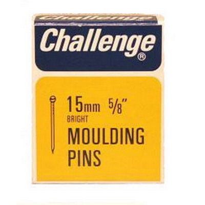 Challenge Moulding Pins Silver (15mm) from B&Q