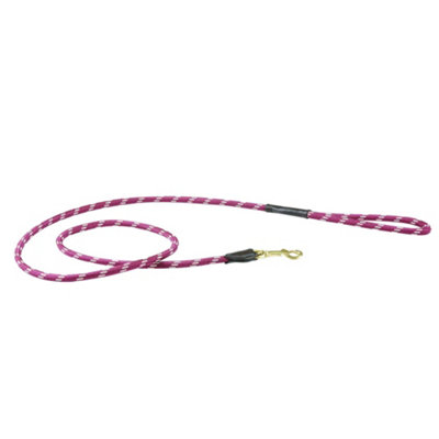 Weatherbeeta Rope Leather Dog Lead Burgundy/brown (1.2M) from B&Q