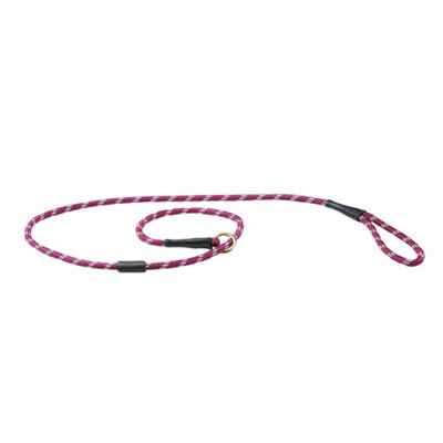 Weatherbeeta Rope Leather Slip Dog Lead Burgundy/brown (1.8M) from B&Q