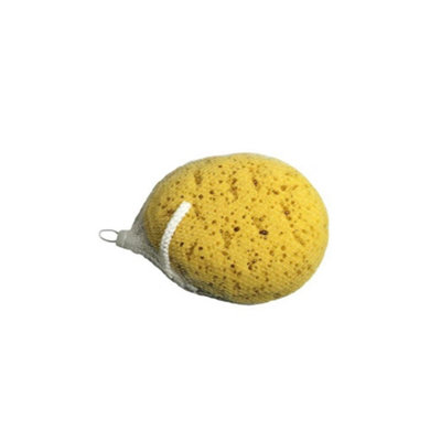 B&Q Blue/Yellow Canyon Body Sponge (One Size)