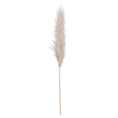 Hill Interiors Cream Artificial Single Stem Pampas Gr (One ) 60Cm