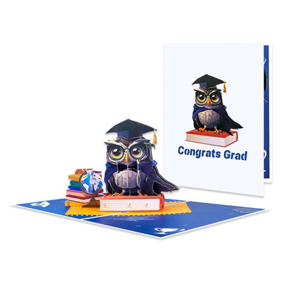  - Owl Graduate Celebration Scene 3D Pop-Up Card