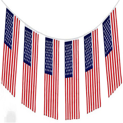 Usa Rectangular Bunting 10M With 20 Flags from B&Q