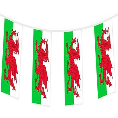 Wales Bunting 10M With 20 Flags from B&Q