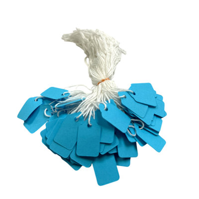  - Pack Of 200 Small Blue Strung Tags 13 X 20mm