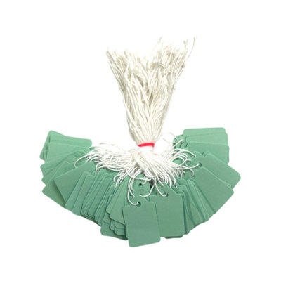  - Pack Of 100 Medium Pastel Green Strung Tags 25 X 39mm