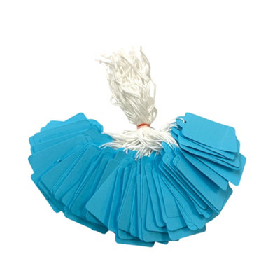 Pack Of 100 Large Blue Strung Tags 36 X 53mm from B&Q