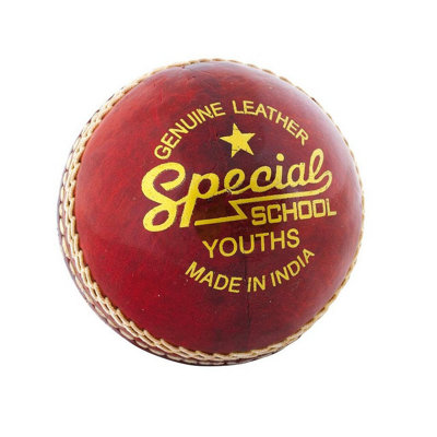  - Readers Childrens/kids Special School Leather Cricket Ball Red (One Size)