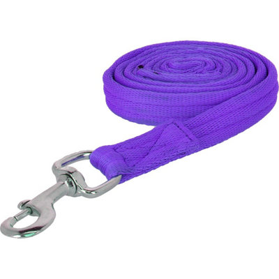 Wessex Web Horse Lead Rein Purple (1.8M) from B&Q