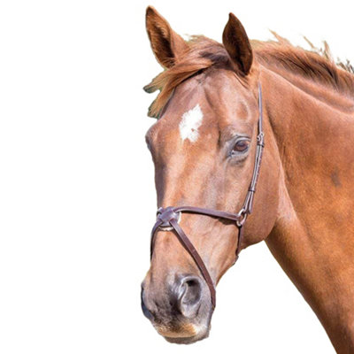 Blenheim Mexican Leather Horse Noseband Havana (Full) from B&Q