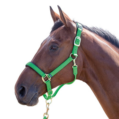 Shires Topaz Nylon Horse Headcollar Green (Full) from B&Q