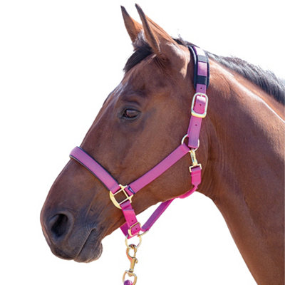 Shires Topaz Nylon Horse Headcollar Raspberry (Cob) from B&Q
