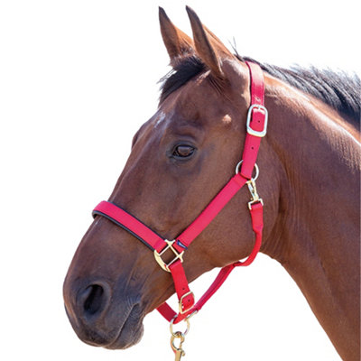 Shires Topaz Nylon Horse Headcollar Red (Full) from B&Q