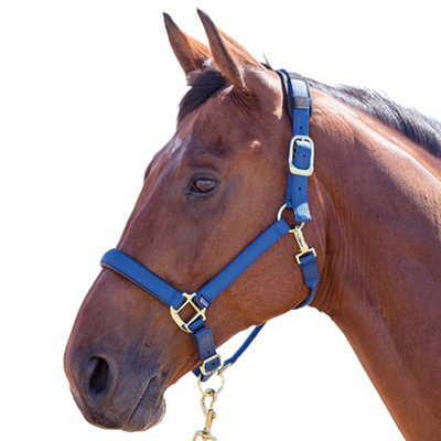 Shires Topaz Nylon Horse Headcollar Navy (Cob) from B&Q