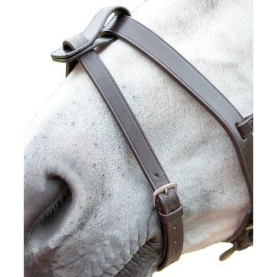 Blenheim Leather Horse Flash Strap Havana (Pony) from B&Q