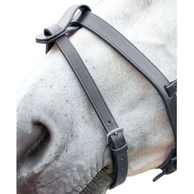 Blenheim Leather Horse Flash Strap Black (X Full) from B&Q