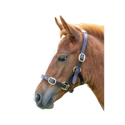 Blenheim Leather Adjustable Horse Headcollar Havana (Yearling) from B&Q