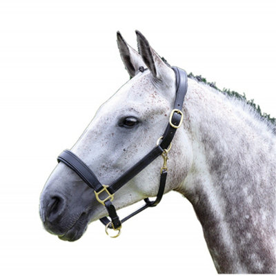 Blenheim Leather Travel Horse Headcollar Black (Cob) from B&Q