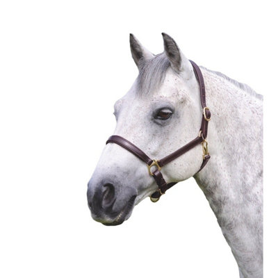 Blenheim Ragley Leather Horse Headcollar Havana (Full) from B&Q