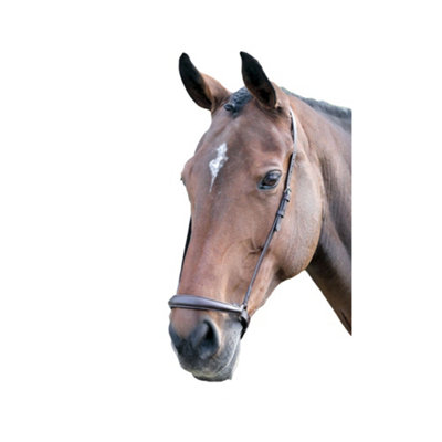 Blenheim Leather Horse Drop Noseband Havana (Cob) from B&Q