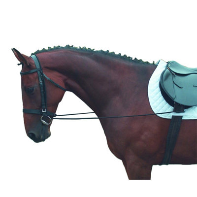 Shires Elastic Training Horse Reins Black (6mm) from B&Q