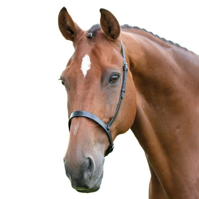 Blenheim Leather Horse Cavesson Noseband Black (Full) from B&Q