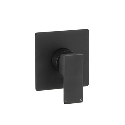 Homestylestore Black 1 Outlet Manual Mixer Shower Valve from B&Q