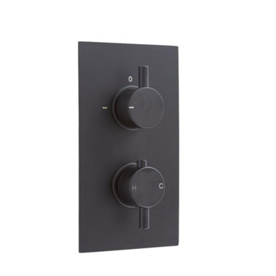 Homestylestore Black 1 Outlet Twin Thermostatic Concealed Mixer Shower Valve from B&Q