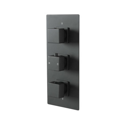 Homestylestore Black 2 Outlet Triple Thermostatic Mixer Shower Valve from B&Q