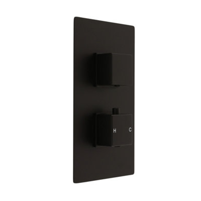Homestylestore Black 2 Outlet Twin Diverter Thermostatic Concealed Mixer Shower Valve from B&Q