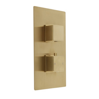 Homestylestore Brushed Brass 2 Outlet Twin Diverter Thermostatic Concealed Mixer Shower Valve from B&Q