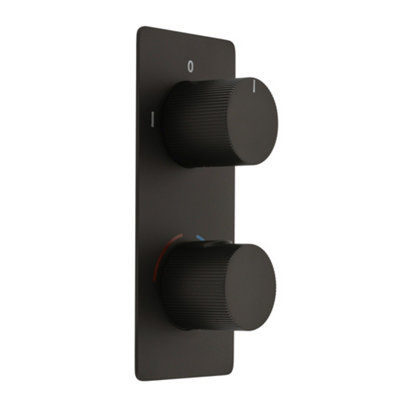 Homestylestore Black 2 Outlet Diverter Thermostatic Concealed Mixer Shower Valve from B&Q