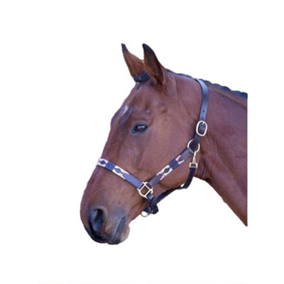 Blenheim Leather Polo Horse Headcollar Pink/navy/natural (Pony) from B&Q