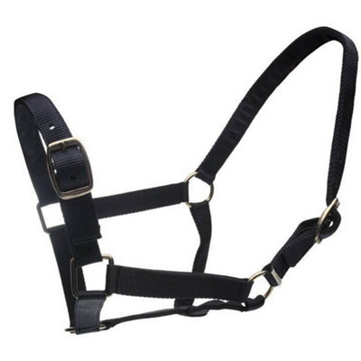 Roma Horse Headcollar And Leadrope Black (Pony) from B&Q