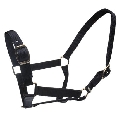 Roma Horse Headcollar And Leadrope Navy (Full) from B&Q
