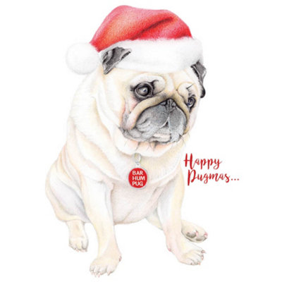 Deckled Edge Happy Pugmas Christmas Card Brown/grey/red (One Size) from B&Q