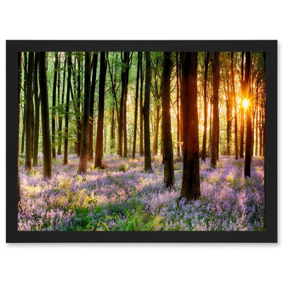 Artery8 Bluebell Wood Sunrise Trees Photo Wall Art PrintA4 Size from B&Q