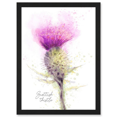 Artery8 Scottish Thistle Flower Head Watercolour Scotland Wall Art PrintA4 Size from B&Q